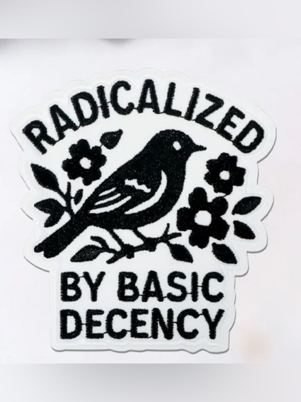 NEW - Protest- Radicalized By Basic Decency, Sticker 2.75” x 2.9”